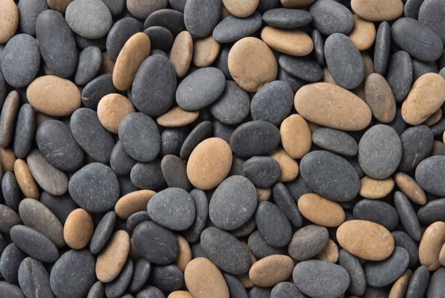 Mexican Pebbles