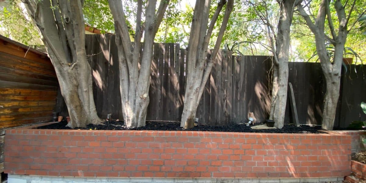 Rebuilt brick planter wall with fresh dark mulch in the bed