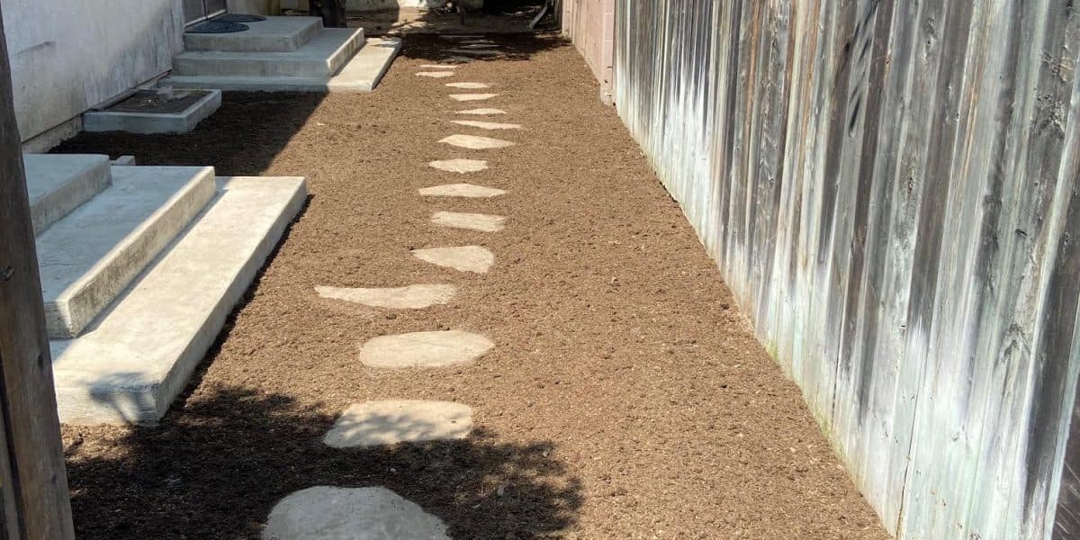 Thin patchy lawn with bare spots and weeds