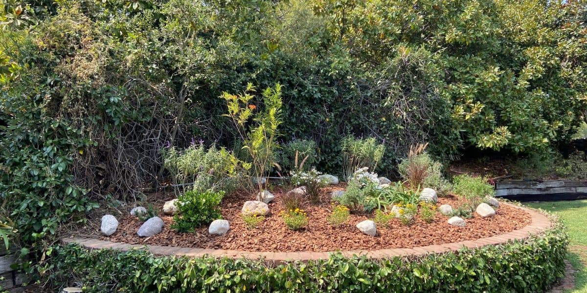 The same yard cleared, trimmed and swept clean